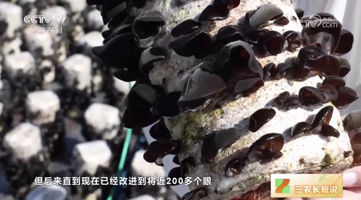 圖片關鍵詞 圖片關鍵詞