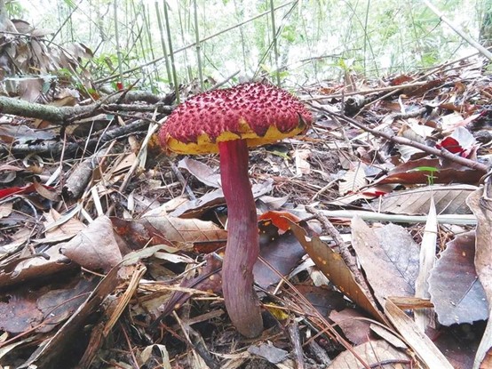 圖片關(guān)鍵詞 圖片關(guān)鍵詞