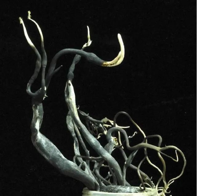 圖片關鍵詞 圖片關鍵詞