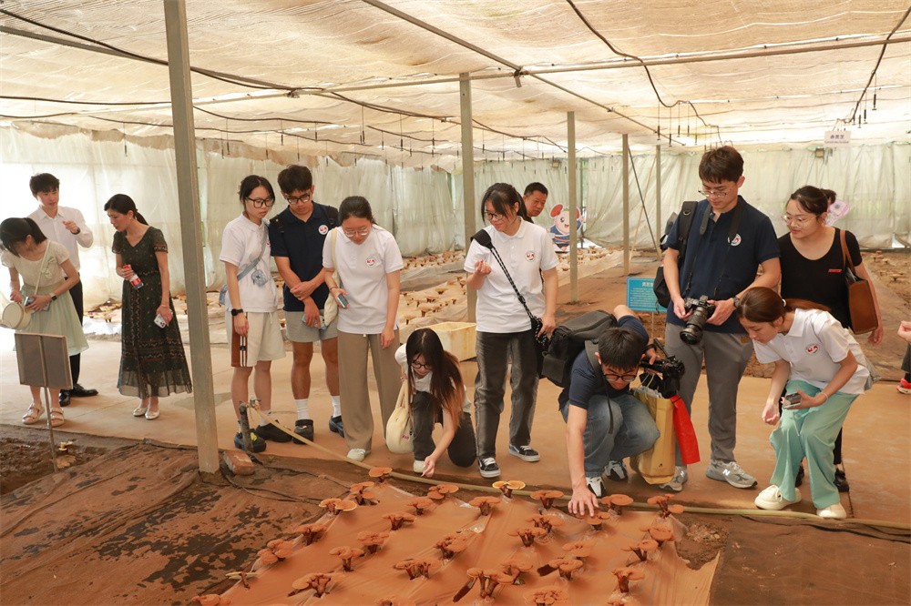 圖片關鍵詞 圖片關鍵詞