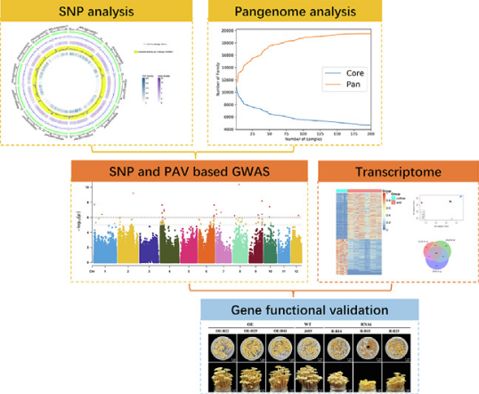 圖片關鍵詞 圖片關鍵詞