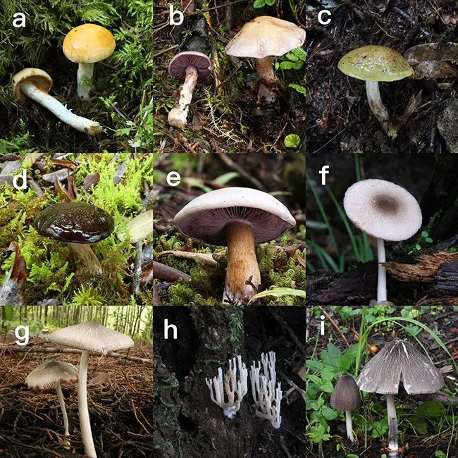 圖片關(guān)鍵詞 圖片關(guān)鍵詞